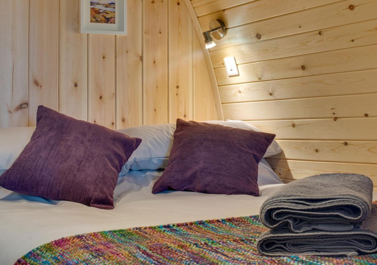 Caban Clyd Villa Machynlleth Exteriör bild